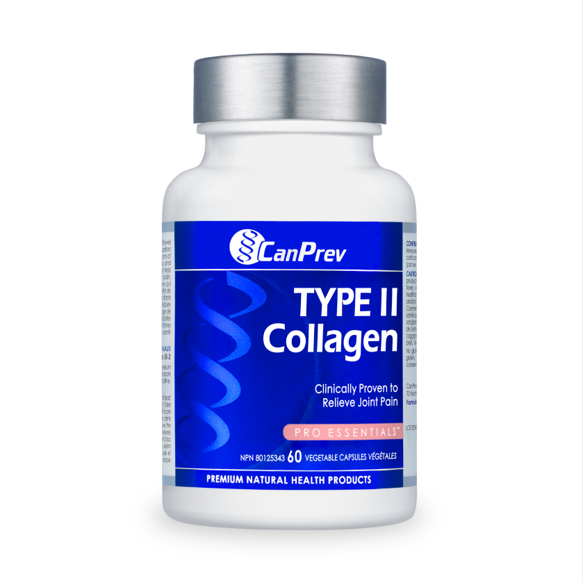 TYPE II Collagen