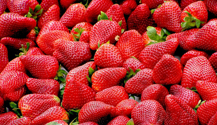 Strawberry Collection