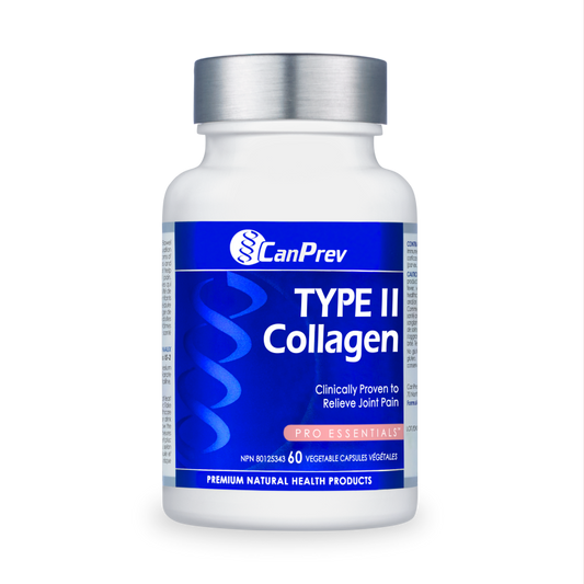 TYPE II Collagen
